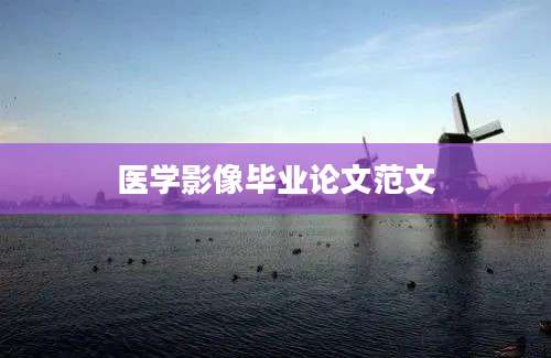 医学影像毕业论文范文