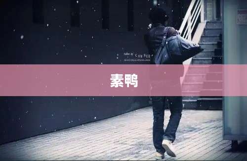 素鸭