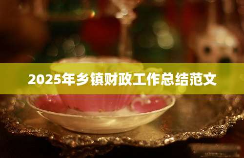 2025年乡镇财政工作总结范文