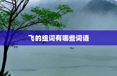 飞的组词有哪些词语