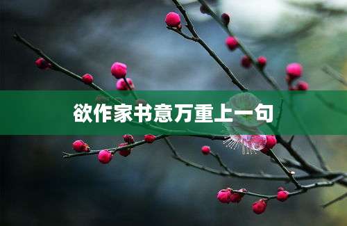 欲作家书意万重上一句