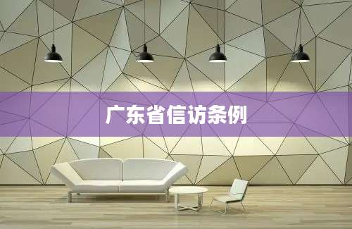 广东省信访条例