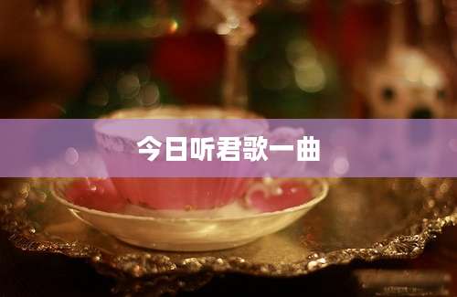 今日听君歌一曲