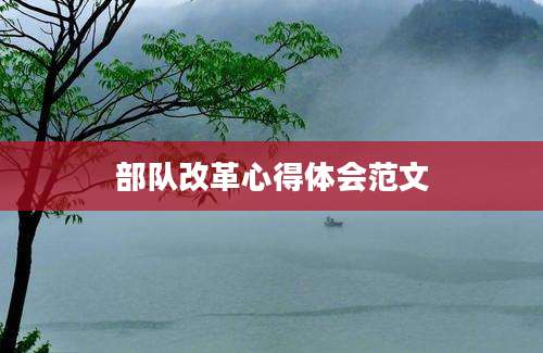 部队改革心得体会范文