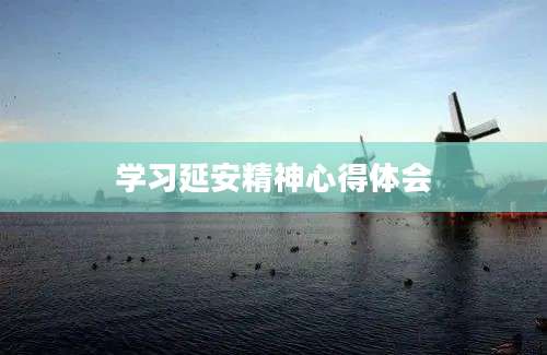 学习延安精神心得体会