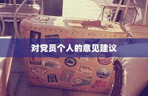 对党员个人的意见建议