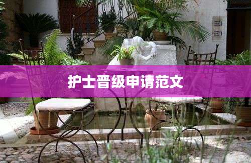 护士晋级申请范文