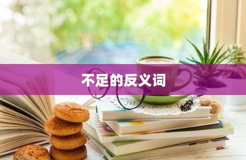 不足的反义词