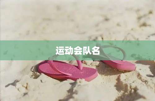 运动会队名