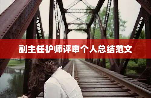 副主任护师评审个人总结范文
