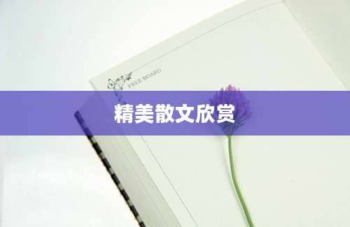 精美散文欣赏
