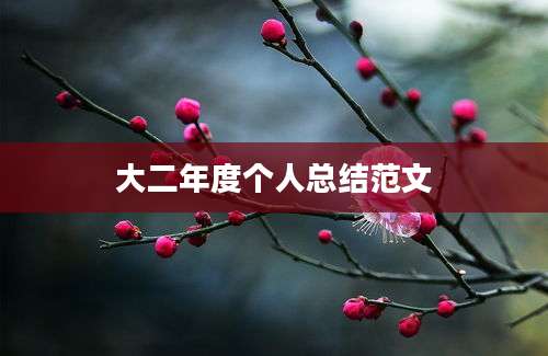 大二年度个人总结范文