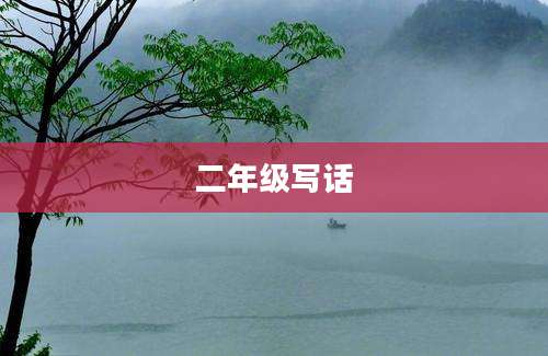 二年级写话