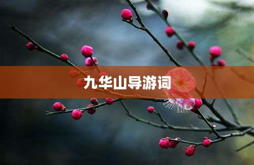 九华山导游词