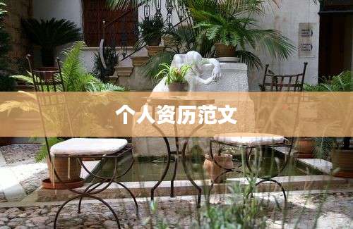 个人资历范文