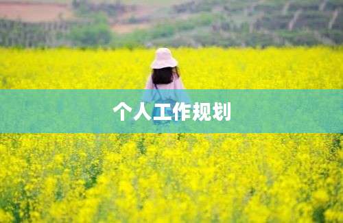 个人工作规划
