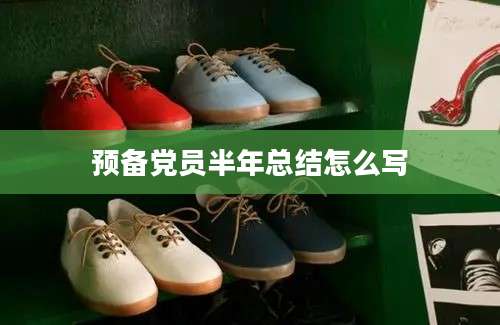 预备党员半年总结怎么写