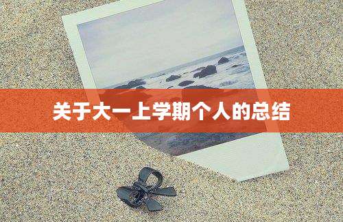 关于大一上学期个人的总结