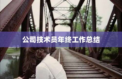 公司技术员年终工作总结