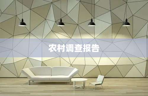 农村调查报告