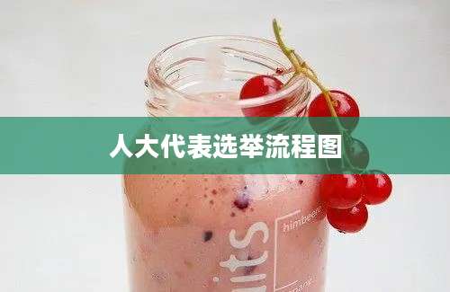 人大代表选举流程图