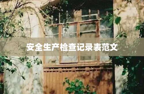 安全生产检查记录表范文