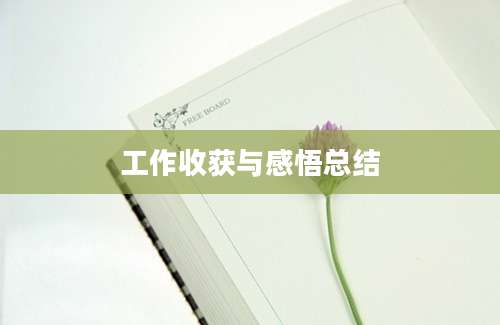 工作收获与感悟总结
