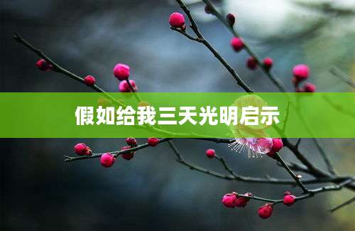假如给我三天光明启示