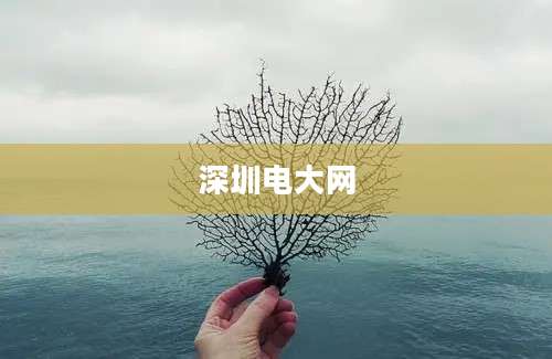 深圳电大网