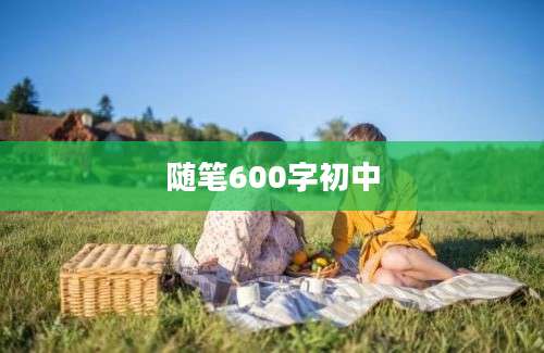 随笔600字初中