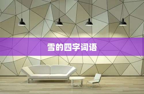 雪的四字词语