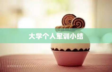 大学个人军训小结