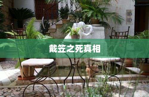 戴笠之死真相