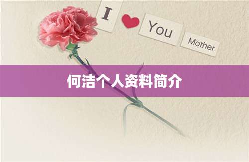 何洁个人资料简介