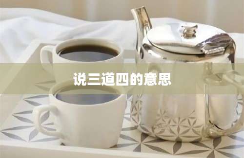 说三道四的意思