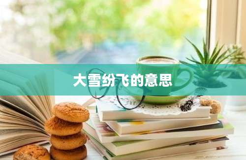 大雪纷飞的意思