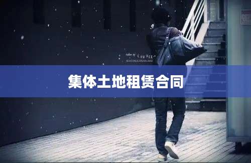 集体土地租赁合同
