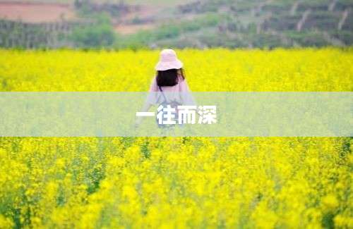 一往而深