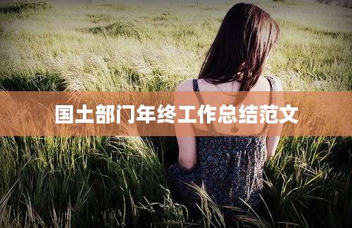 国土部门年终工作总结范文