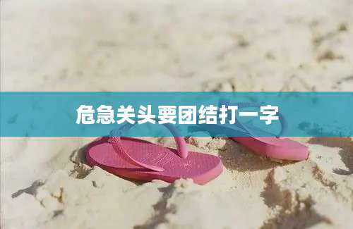 危急关头要团结打一字