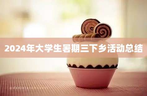 2024年大学生暑期三下乡活动总结