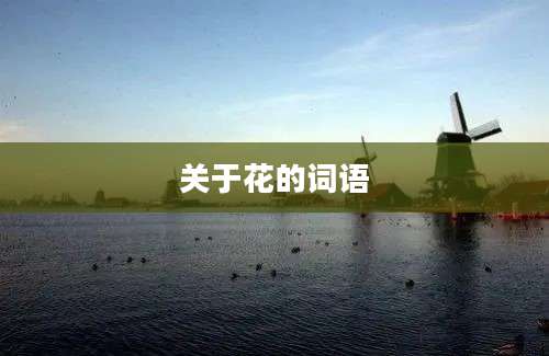 关于花的词语