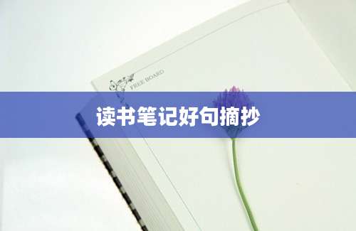 读书笔记好句摘抄