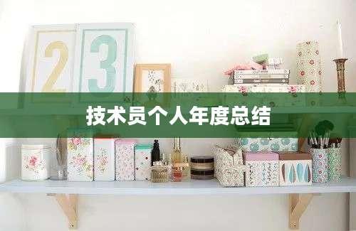 技术员个人年度总结