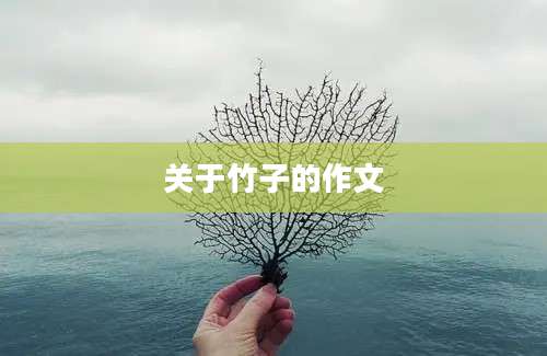 关于竹子的作文