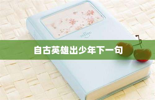 自古英雄出少年下一句