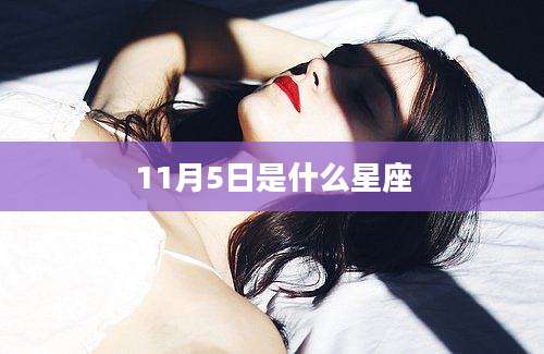 11月5日是什么星座