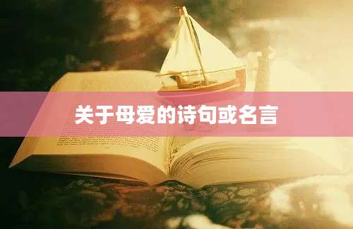 关于母爱的诗句或名言