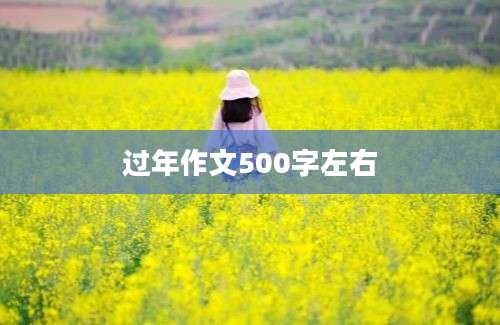 过年作文500字左右