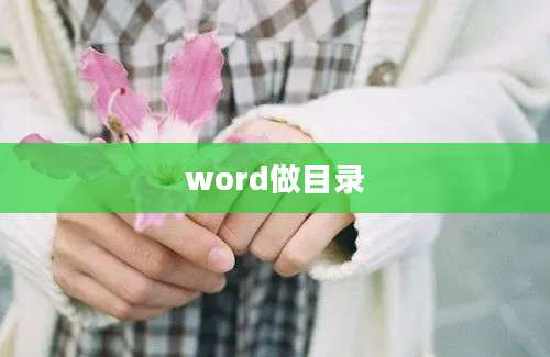 word做目录